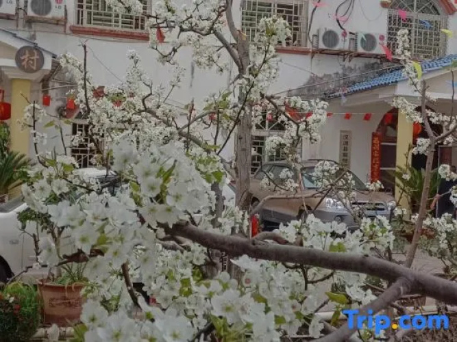 Hanyuan Zaolin Homestay