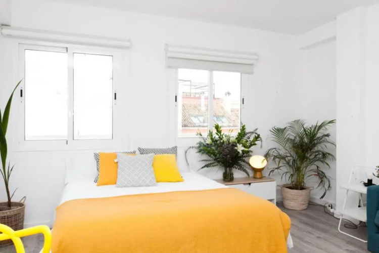 Pop Art, Apartamento Molviedro 304