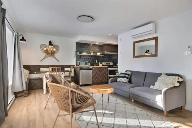 Deluxe Apartment