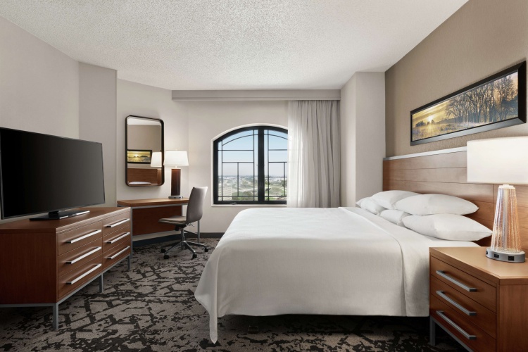 Embassy Suites by Hilton Grapevine DFW Airport North photo 8
