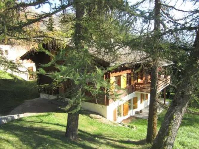 Le Génépi