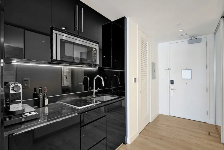 Luxury Apartment