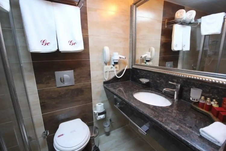 Standard Triple room with view
