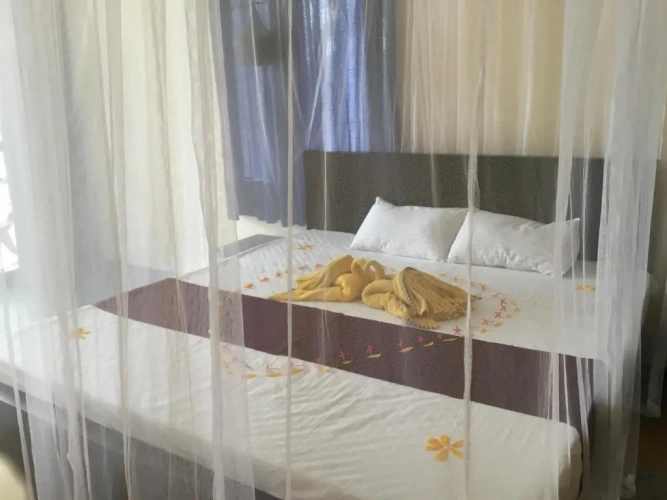 Standard Double room with balcony and with sea view