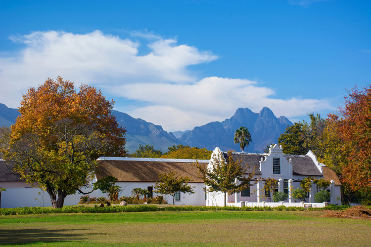 Holiday Inn Express City Centre, an IHG Hotel外景图