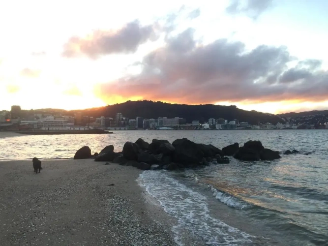 Beach