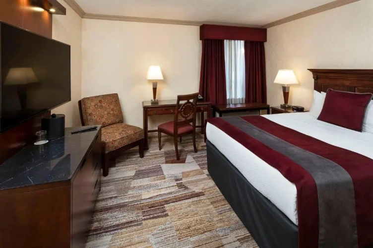 Standard Double room
