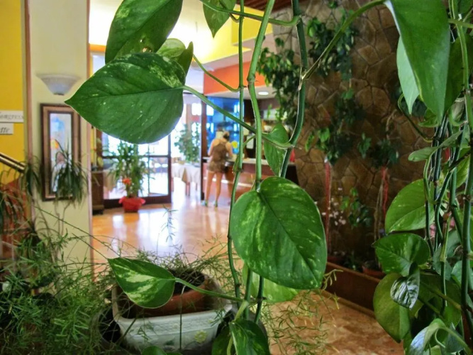 Hotel Capo Noli