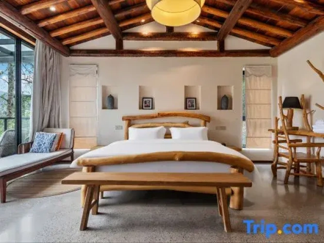 1 Bedroom Standard Double room