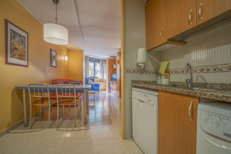 1 Bedroom Apartment