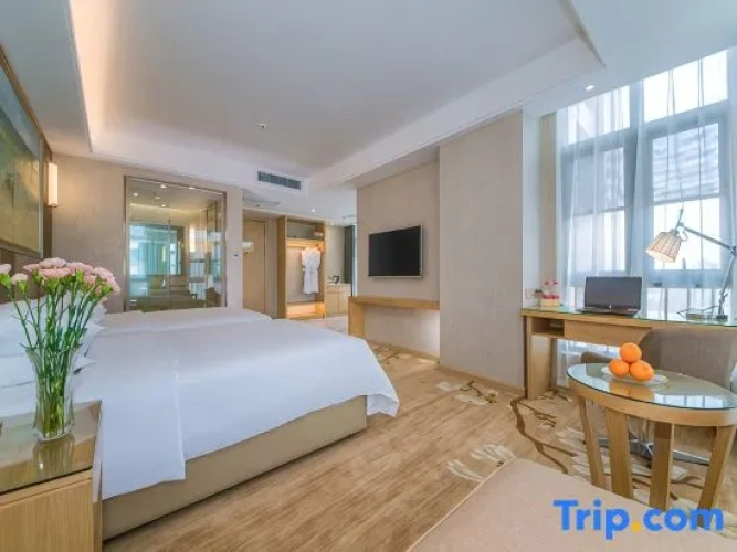Executive Suite with view