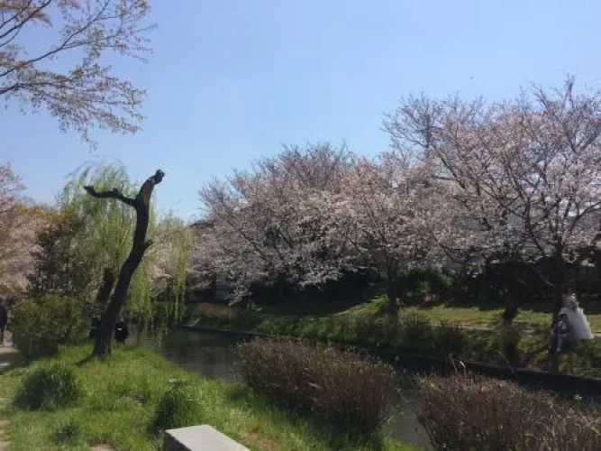 Suzume-An