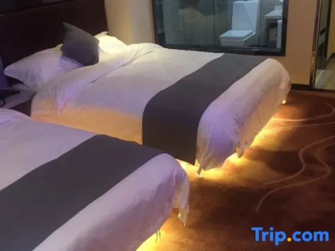 Triple Family Suite