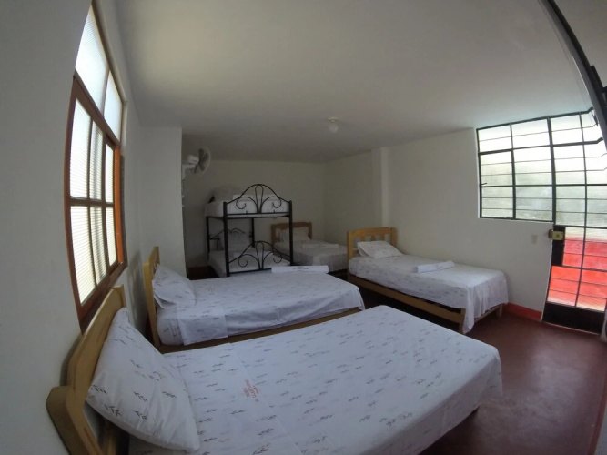 Hostel Mr. Llama