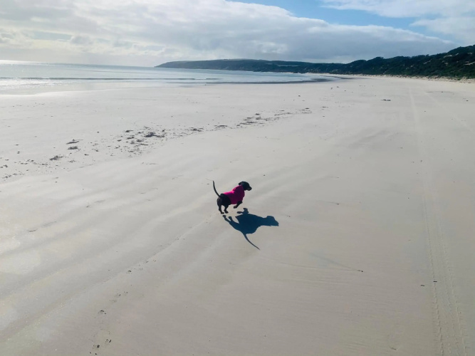 Sunny Brae