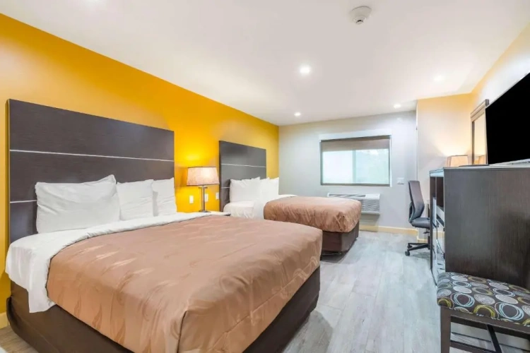 Quadruple Suite