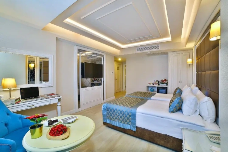 Deluxe Twin room