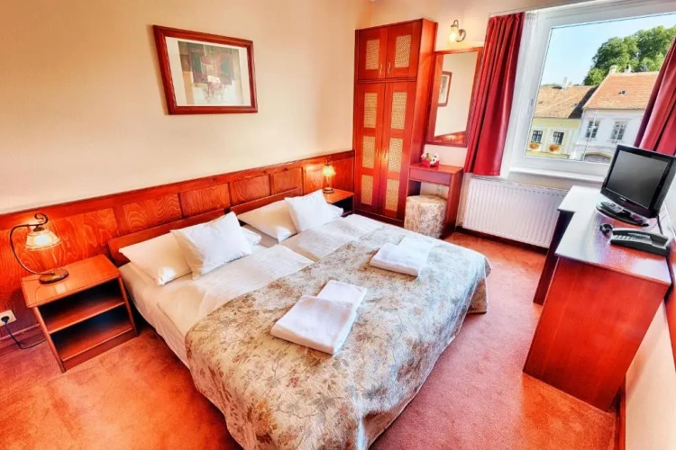 Superior Double room with mountain view