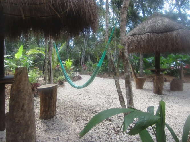 Casa Mango