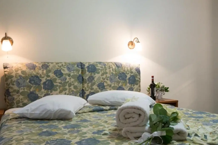 Standard Double room with balcony and with view