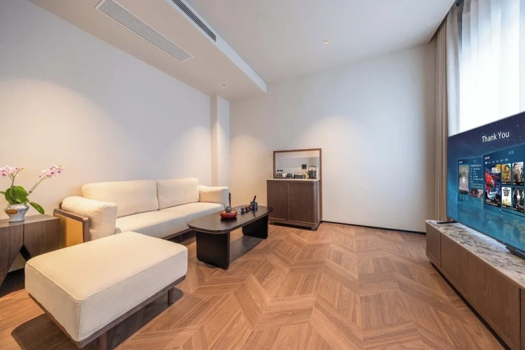 Luxury Suite