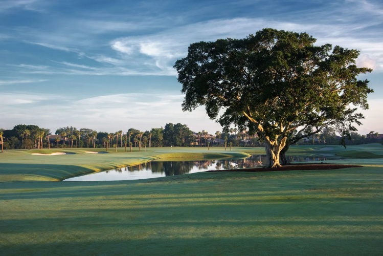 The Belgrove Resort & Spa, West Palm Beach, Autograph Collection