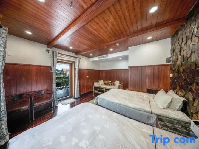 Standard Double room with mountain view