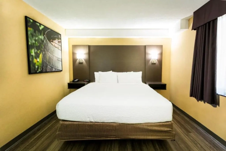 Standard room with view