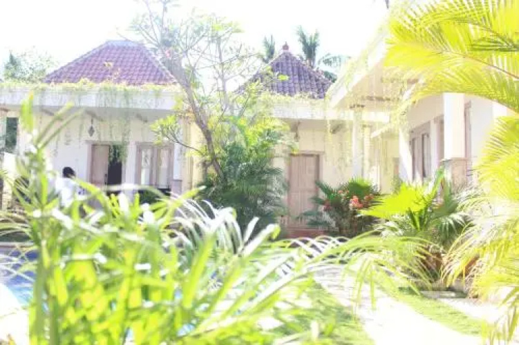 Mango 5 Hotel