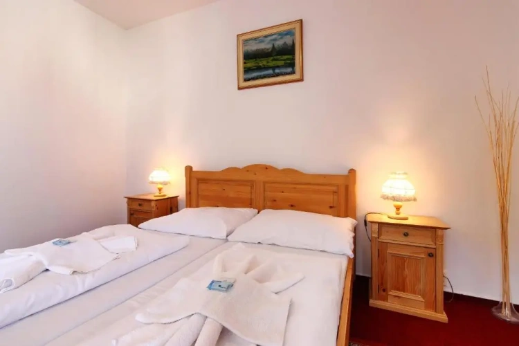 Standard Single room with view