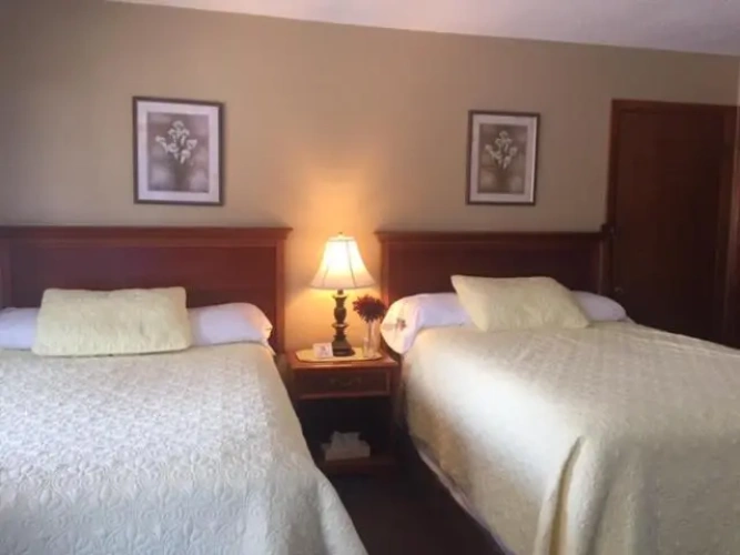 Standard room with view