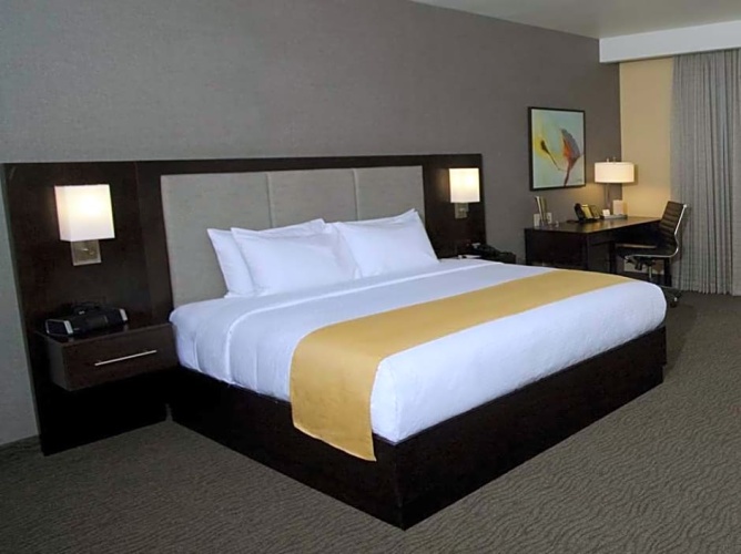 Double Suite