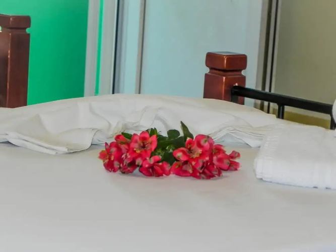 Ilias Studios