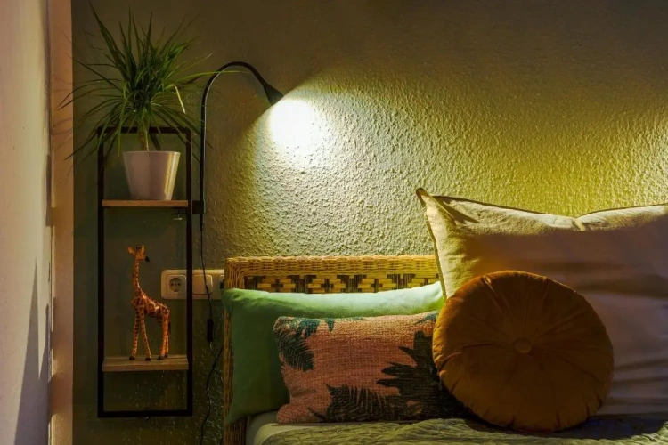 Standard Single room with view