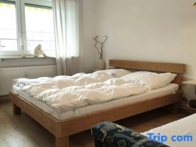 1 Bedroom Apartment with balcony and with city view