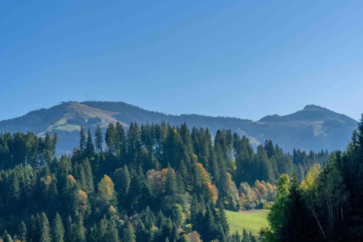 Getznerhof