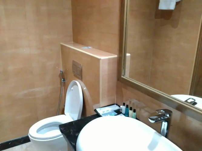 1 Bedroom Executive Suite with city view