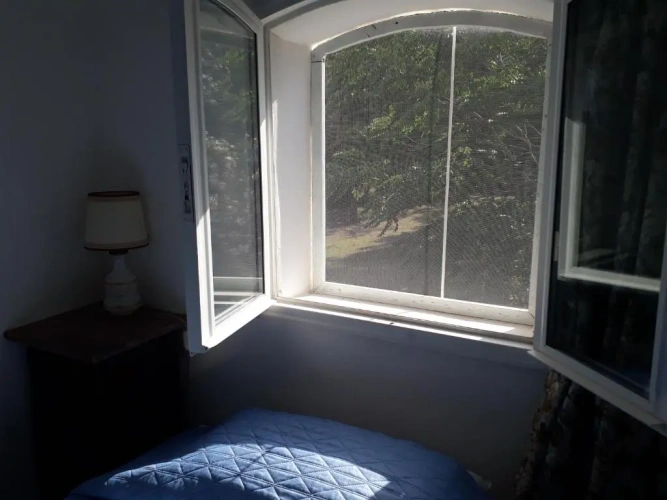 Apartment with garden view