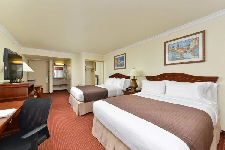 Executive Quadruple room