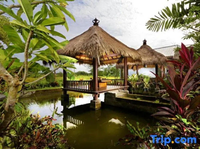Lumbung Asri Cottage