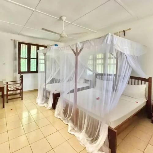 Standard Twin room with garden view