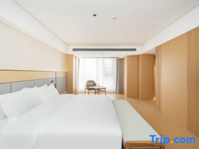 1 Bedroom Suite