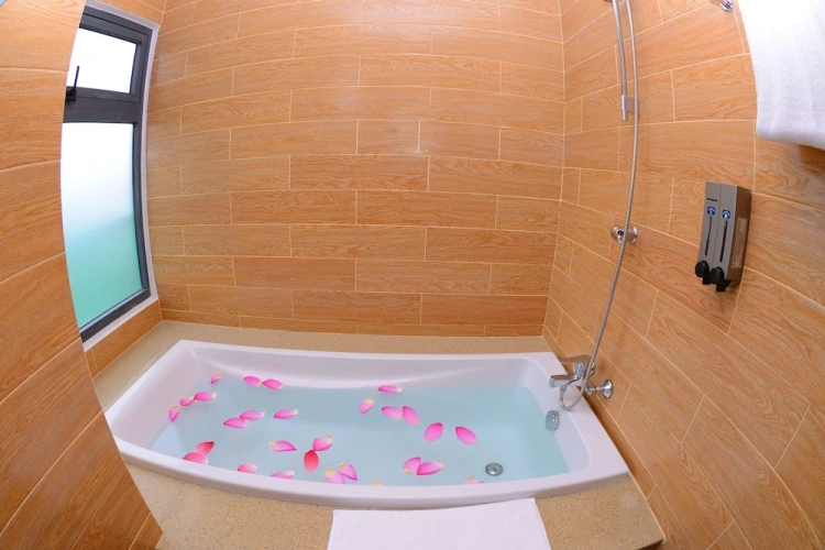 Standard Double room with balcony and with river view