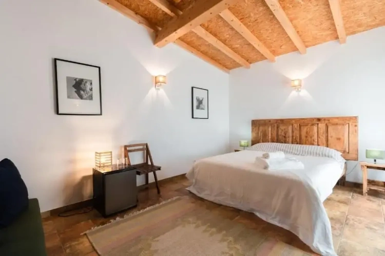 Standard Double room with balcony and with garden view