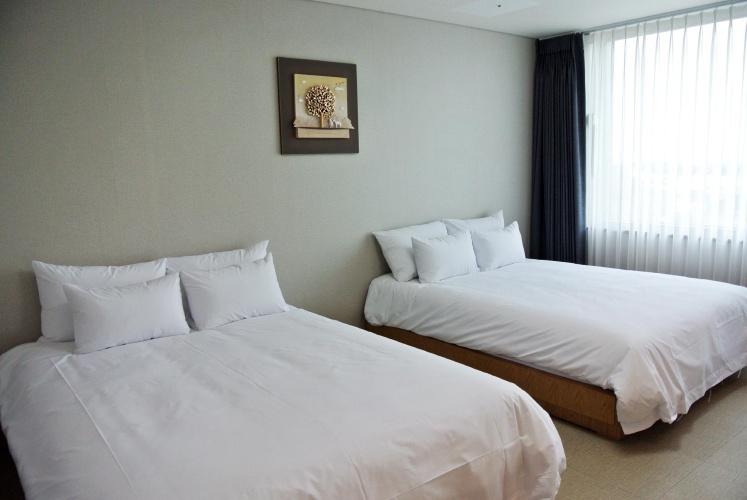 1 Bedroom Suite