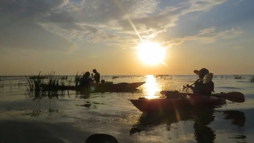 Experiente in Delta Dunarii