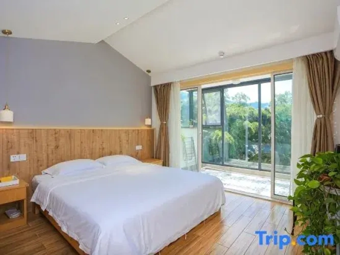 Standard Double room with view