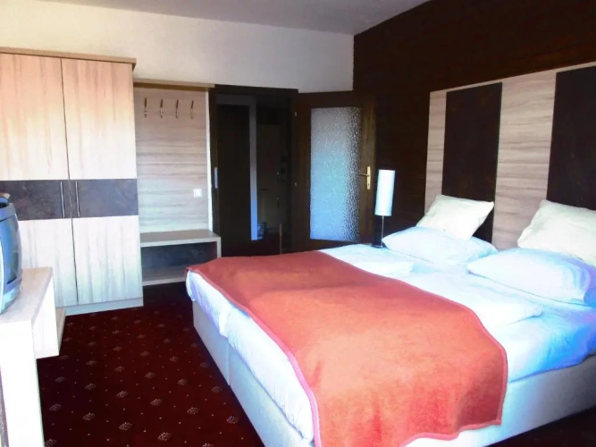 Standard Double room with balcony and with garden view