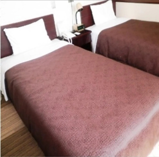 Hotel Select Inn Tsuyama