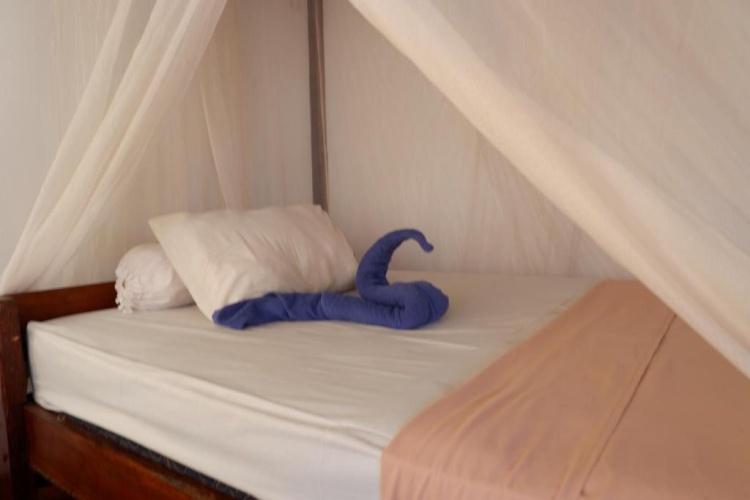 Standard Twin room with sea view